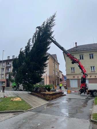 Postavitev smreke na mestni ploščadi